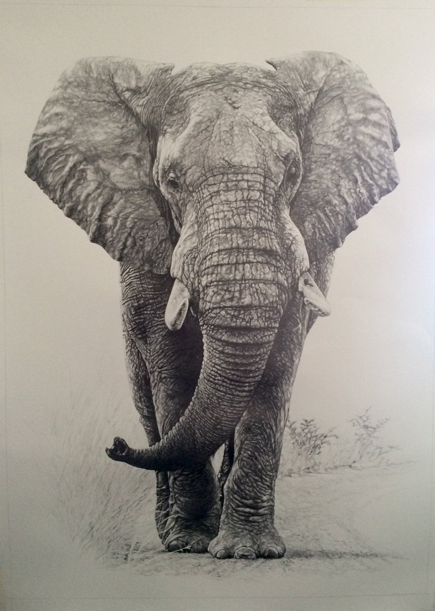 Check out tommiddletonart.com, selling artworks 2 donate 2 organisations fighting poaching &amp; hunting! #RT