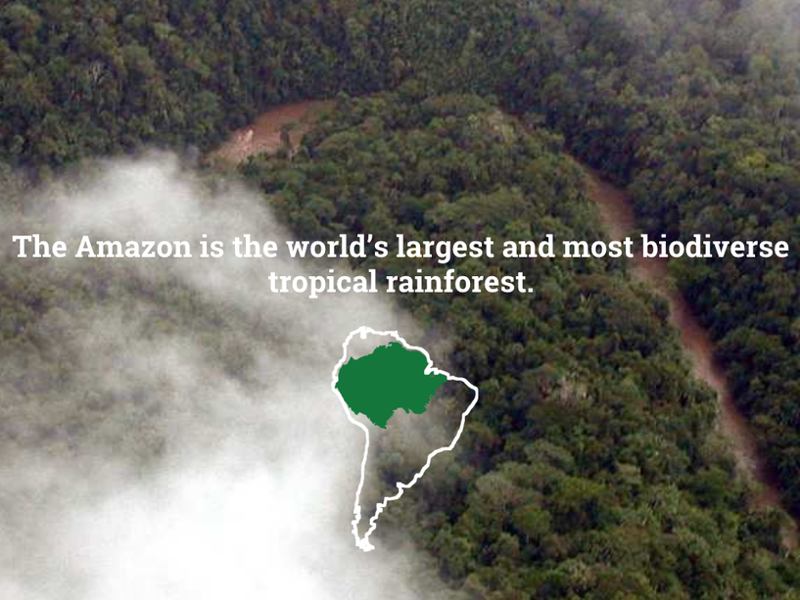 Amazon Watch tweet media