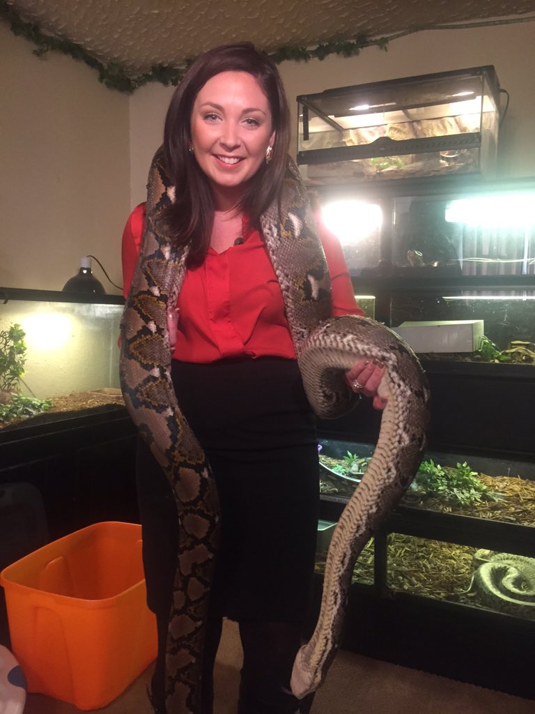 k_shanahan7's tweet photo. Meet Kaa the Python. Controversy is surrounding snakes like him in Norman. Hear more on #newschannel4 at 10. #kfor https://t.co/vOoyh33I5A