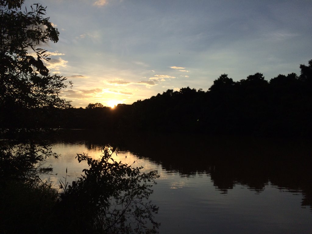 enripaes's tweet photo. essa natureza... ❤️ #ipeuna https://t.co/vp8PP8QQWI