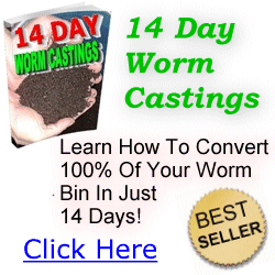 OrderYourDomain's tweet image. 14 Day Worm Castings Books, produce organic fertilizer while raising the best fishing worm! ow.ly/YDjNM