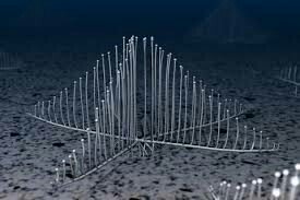 キモくて面白い生き物 水深3300mの海底に住んでいる海面生物コンドロクラディア リラ こう見えて肉食の生物です 今までに発見された海綿生物の中で肉食のものはこのコンドロクラディア リラが初めてなんだそうです T Co Ktpf5nycui