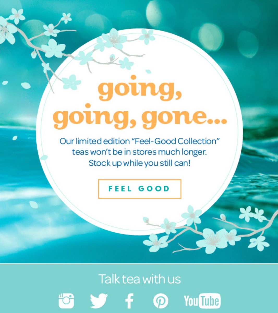 dominika_deneve's tweet image. #FeelGoodCollection #stockupwhileyoucan @DAVIDsTEA @CornwallCentre #yqr