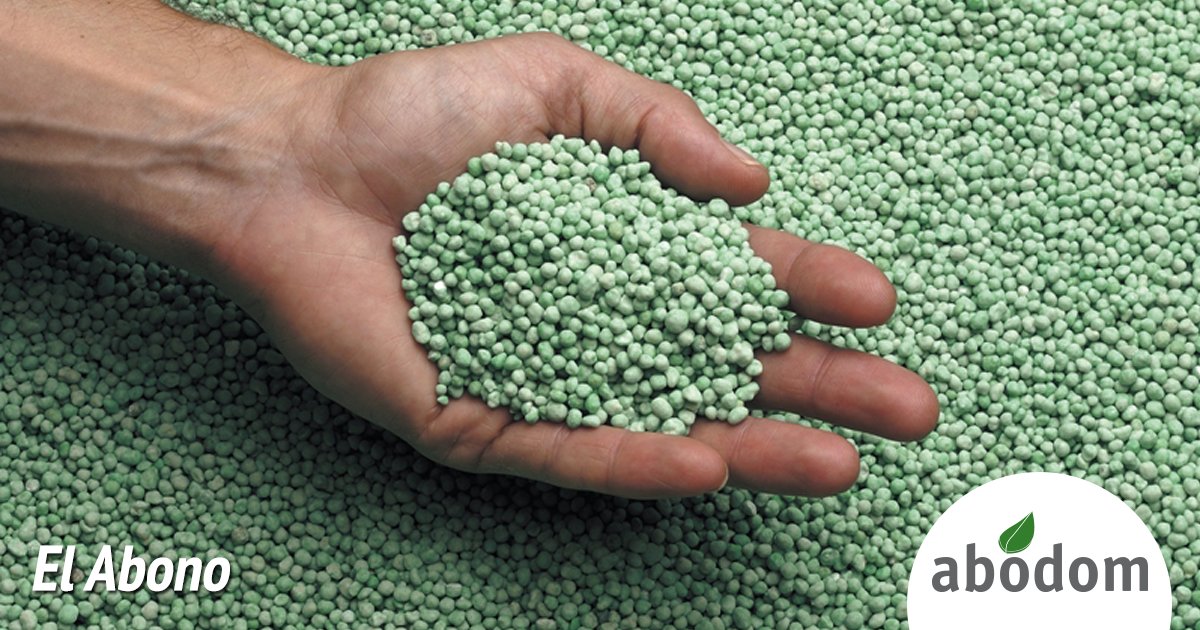 abodomrd's tweet photo. El ABONO cambia la estructura del suelo, mejorándolo para que podamos cultivar todo lo que queramos. #Abodom https://t.co/3cwRBpK98J