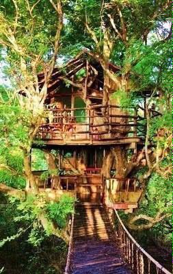 zhilishnykodeks's tweet image. Мечта многих! Домики на деревьях! #домнадереве #мечта #детскиемечты #домикинадеревьях #природаичеловек