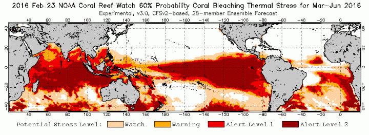 billmckibben's tweet photo. These record-hot months are bringing us the longest coral die-off ever measured globally https://t.co/DUAviOi1Ey https://t.co/io01IGDF5r