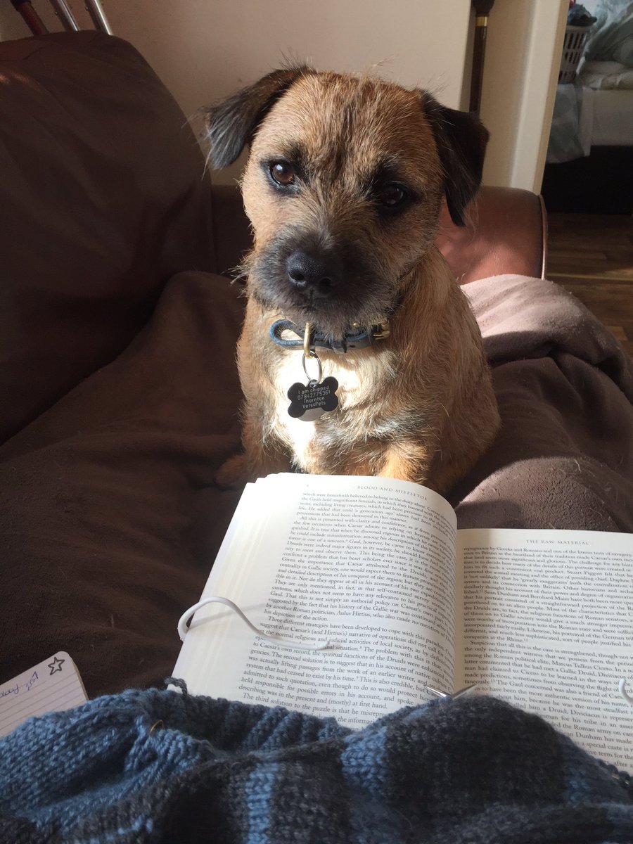 InspJapp's tweet image. Look, it's like this. I want to lick your face. I am the detective so stop reading and let me detect. By licking.