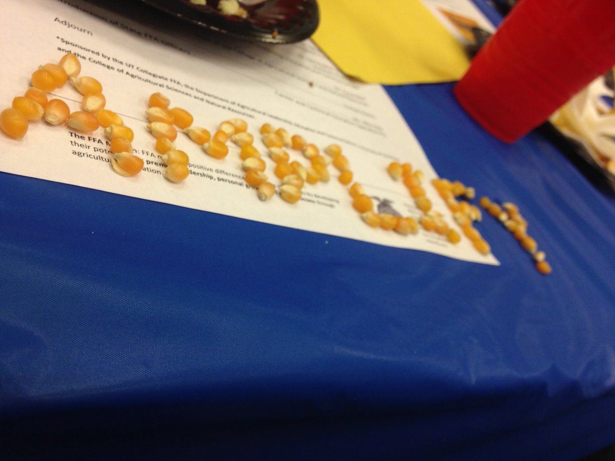 maddisonjace_'s tweet photo. #ffaweek16 https://t.co/IPHSl9jf3G