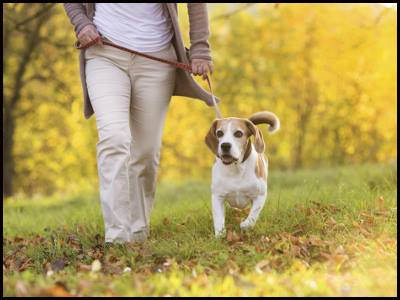 Wativdotcom's tweet photo. #CanadaPetCare #Coupon  Extra  15% Off Your Orders https://t.co/YQ3E8fPA9s  #Comforits #HeartGard https://t.co/J1JdgEdVt4