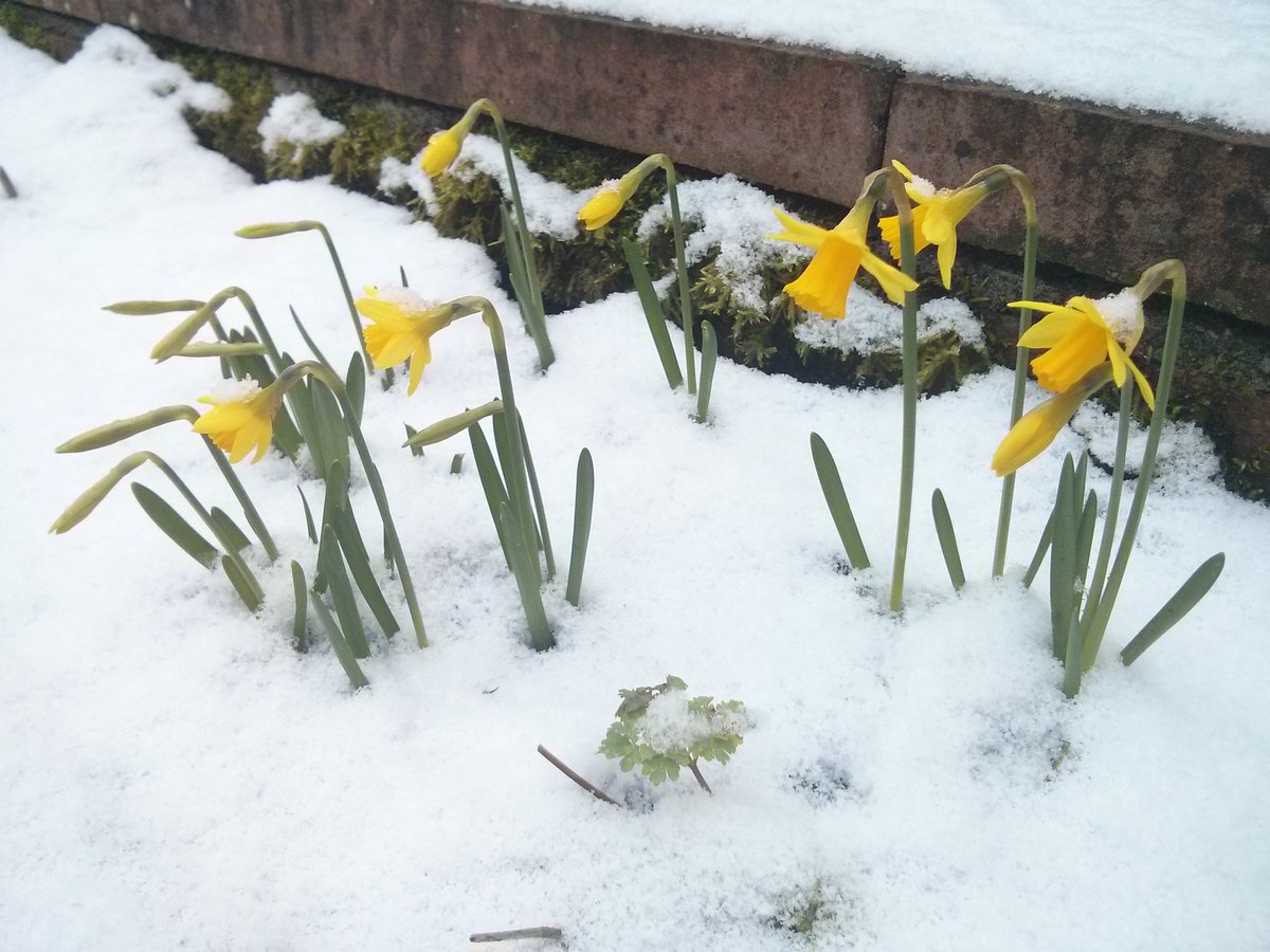 EcoUCSU's tweet photo. Brr! Don't think there'll be much gardening at Carlisle this afternoon. Good job candidates Question Time is indoor! https://t.co/lJnjKXcacE