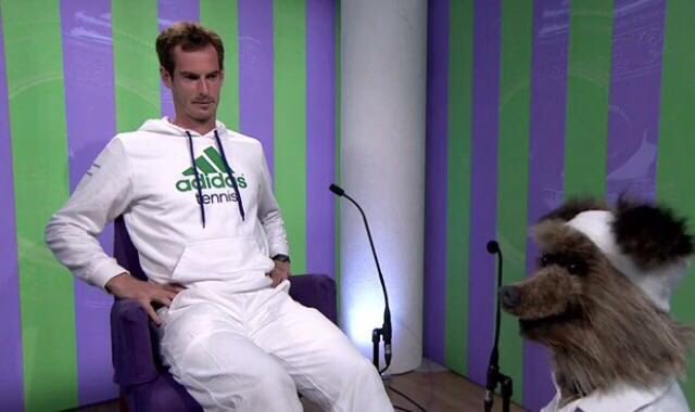 #WednesdayWisdom - so I said to @andymurray invest your cash in tennis balls... They always make a great return!