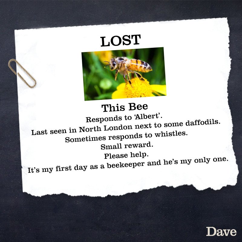 davechannel's tweet photo. Please Help https://t.co/8BAiSbHDMv