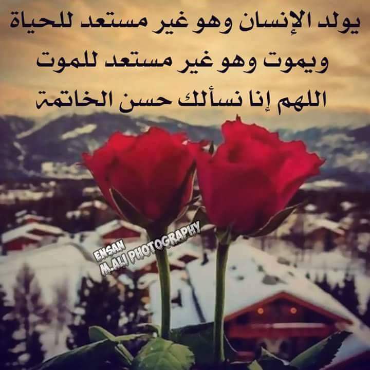 ala_hammad tweet picture