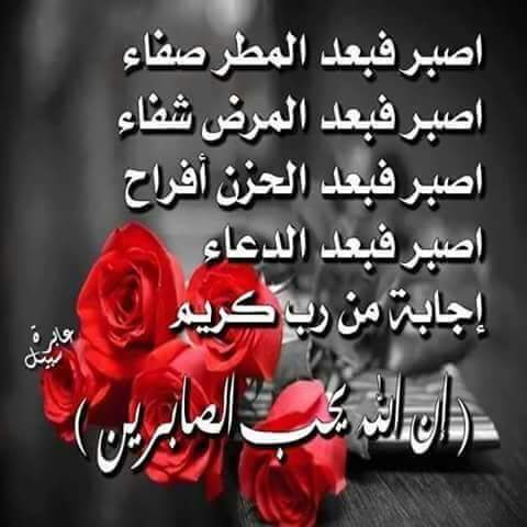 ala_hammad tweet picture