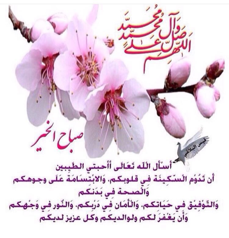 hahamad3's tweet photo. https://t.co/kqzRtJOFHq