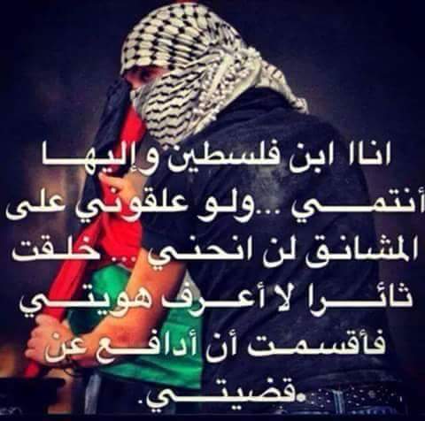 ala_hammad tweet picture