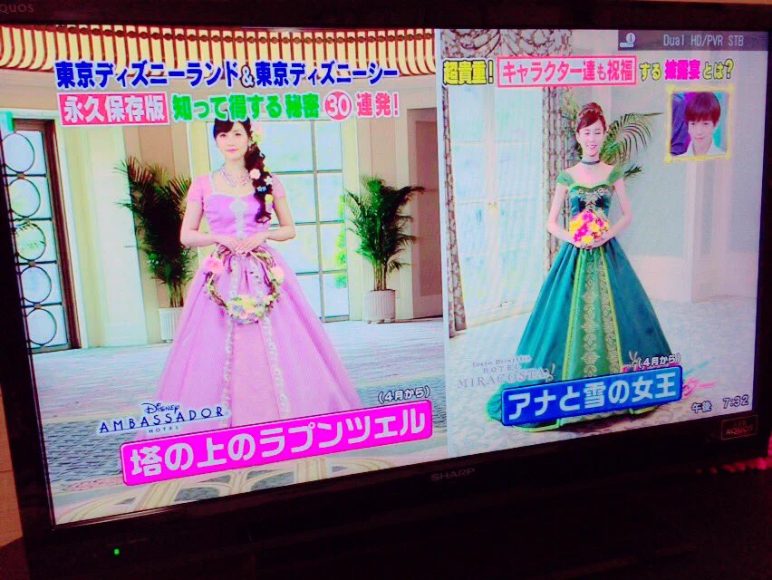 ディズニーのシンデレラ城を貸し切って結婚式♥いくらかかるの？