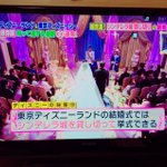 ディズニーのシンデレラ城を貸し切って結婚式♥いくらかかるの？