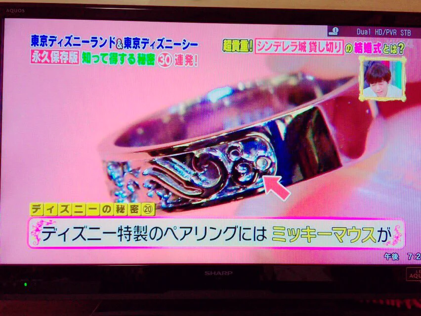 ディズニーのシンデレラ城を貸し切って結婚式♥いくらかかるの？