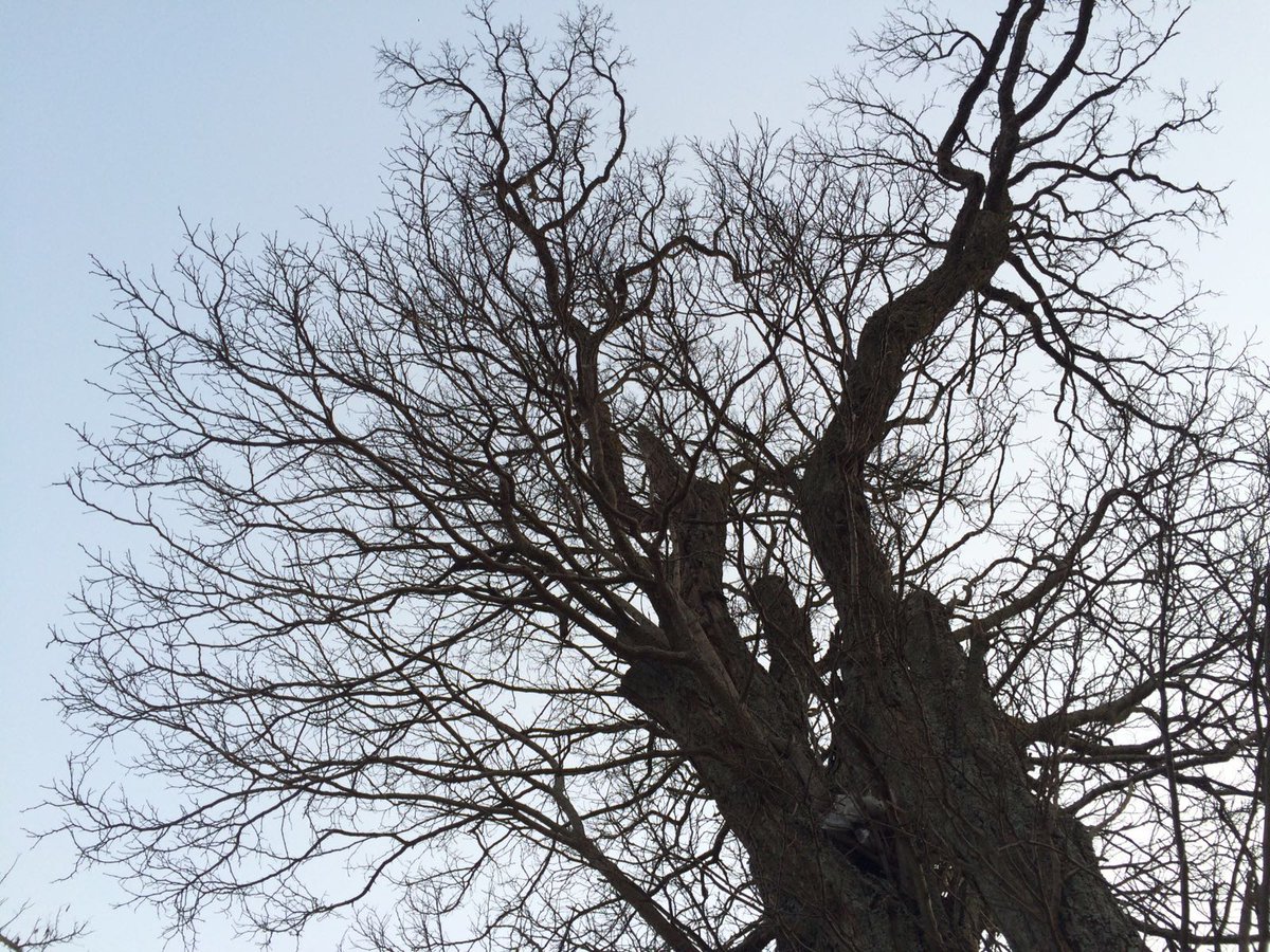 encontinuo's tweet image. Más y el pequeño Luca con su abuela.