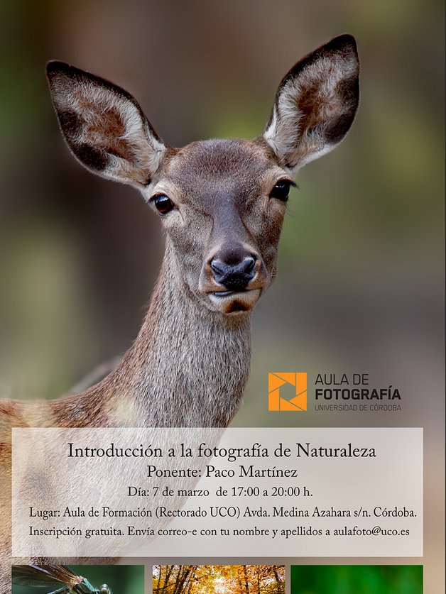 pedroivalde's tweet photo. Para los amantes de la #fotografía y la #naturaleza #CordobaEsp https://t.co/SEyCGyM27f