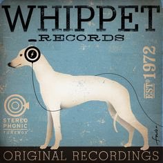 ColinDeDog's tweet image. It&apos;s #whippetwednesday !  RT