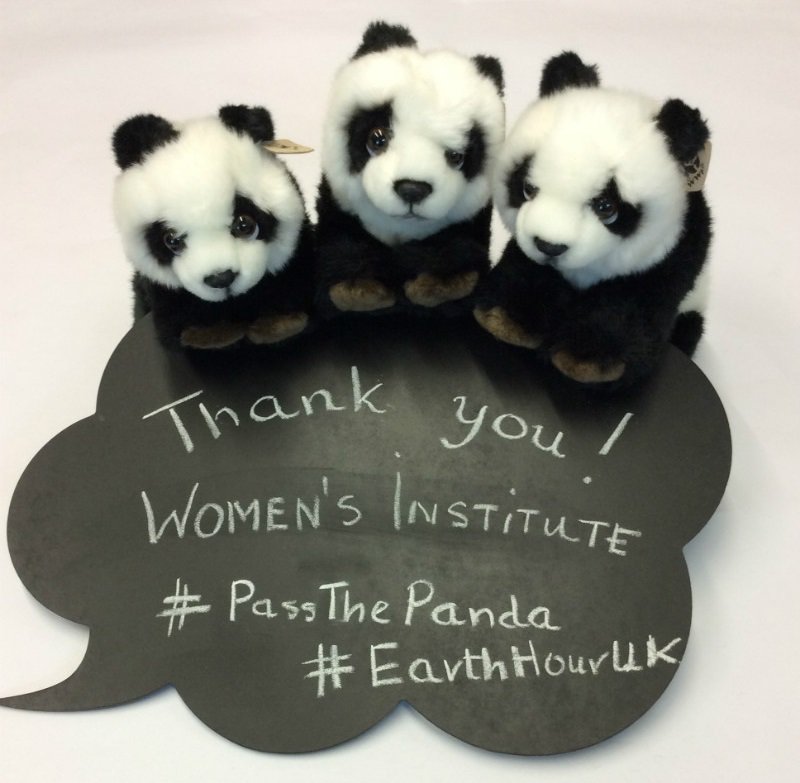 WWF UK tweet media