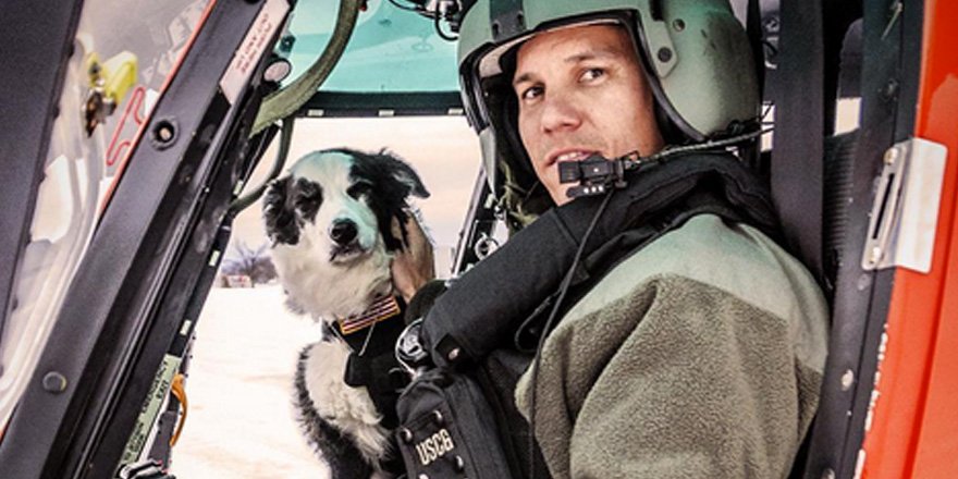 People (@people) on Twitter photo This Michigan airport guard dog is the Tom Cruise of canines peoplem.ag/o6UEY1H via <a href="/PEOPLEPets/">People Pets</a> This Michigan airport guard dog is the Tom Cruise of canines peoplem.ag/o6UEY1H via <a href="/PEOPLEPets/">People Pets</a>