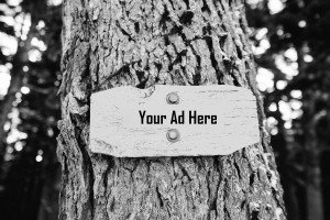 An Introduction to B2B Native Advertising #b2bsm smb2.be/1KJJleX