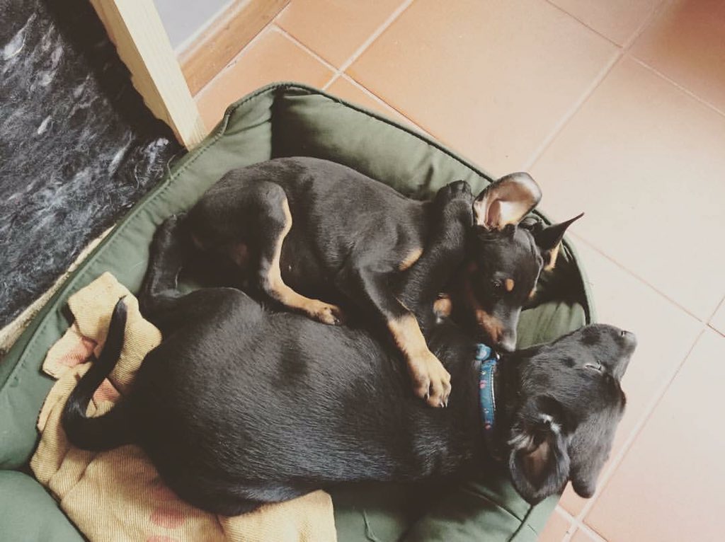 We are BEE certified 😂😂😂