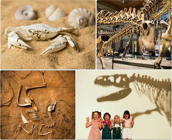 ¿Qué hay común en las 4 fotos? Tiene 9 letras (ELEDUTQOSUEVBB) Yo adiviné. Juega #apensar en todosapensar.com