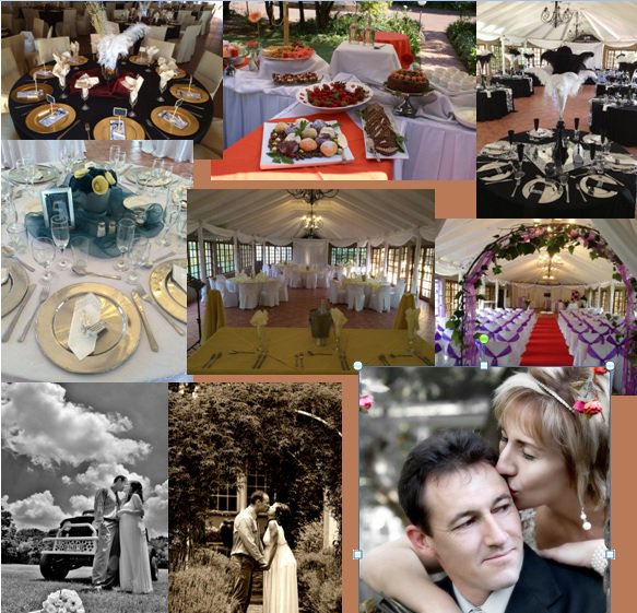 Three Oaks (@oaks_three) on Twitter photo 