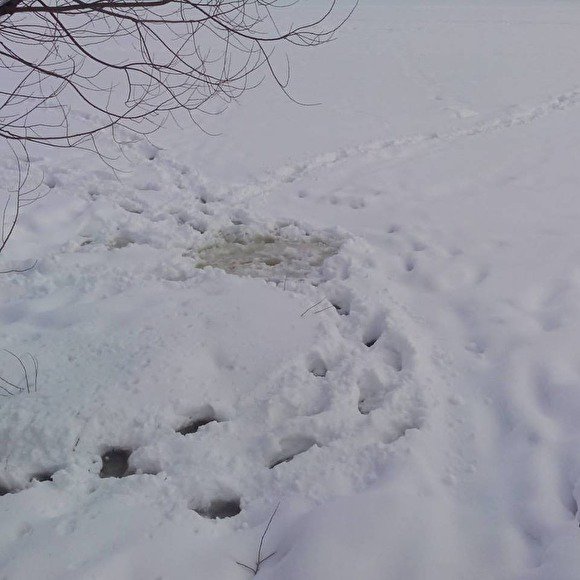 angrycitizen_ru's tweet image. Власти города Буй сделали прорубь, заказ на которую размещали на госзакупках. znak.com/2016-02-24/vla…