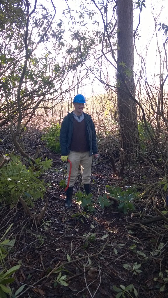 LochLomondCEO's tweet photo. Great day to join our fab @lomondtrossachs @trustinthepark volunteers making small dent in big rhododendron problem https://t.co/9WCmt13uVJ