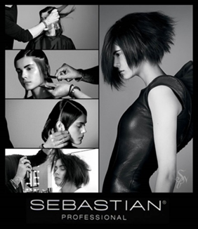 SEBAST_CHILE's tweet photo. “Trabajamos con técnicas  Sebastian y exclusivas de salones de belleza“.
#SebastianProfessionalChile https://t.co/TFtRK1A1V7