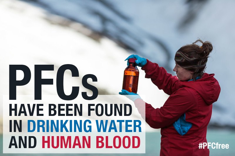 Greenpeace International tweet media