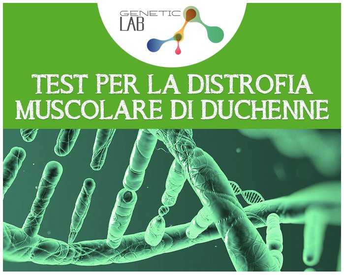 geneticlabsrl's tweet photo. Nuovo #test #geneticlab per #distrofiamuscolare #duchenne : scopri di più sul nostro sito: https://t.co/5TTDKRpyS3 https://t.co/C1F5x9z8NY