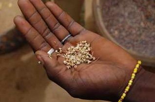 MITx Courses tweet media