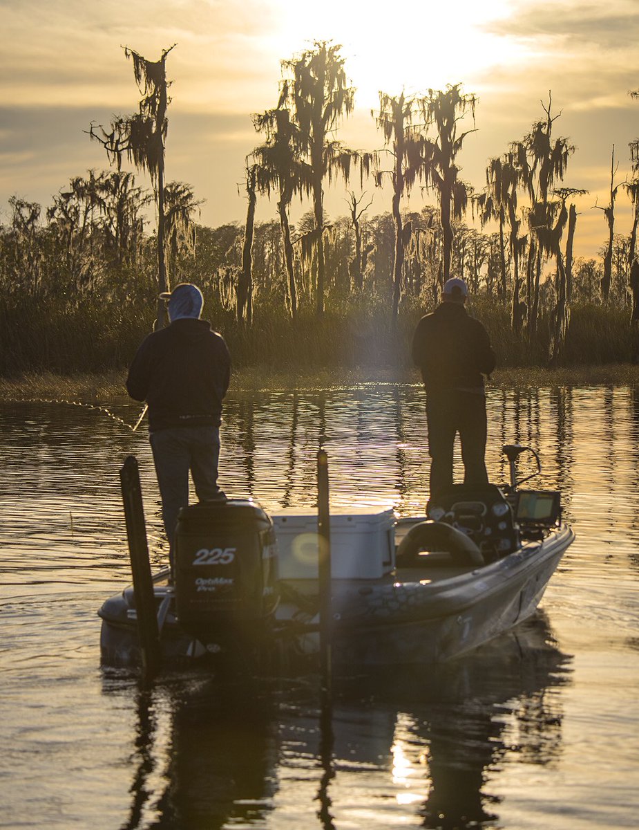 Sweetwatertv's tweet photo. Morning bliss. #Mondays https://t.co/BuouebG1GR