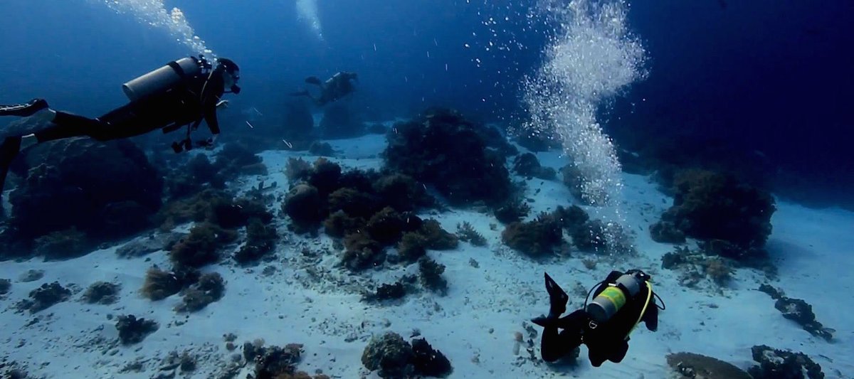 BigBoxfish's tweet photo. @parradoxic  Thanks for following #bigboxfish. Watch our film on: https://t.co/tCuOIrqxR4  Next #Maldives https://t.co/9SRlQYu3f8