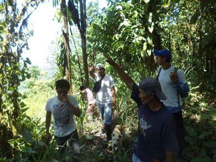 Socio bosque garantiza la conservacion de nuestros bosques con el monitoreo permanente <a href="/MashiRafael/">Rafael Correa</a> <a href="/Ambiente_Ec/">ambiente_ec</a>