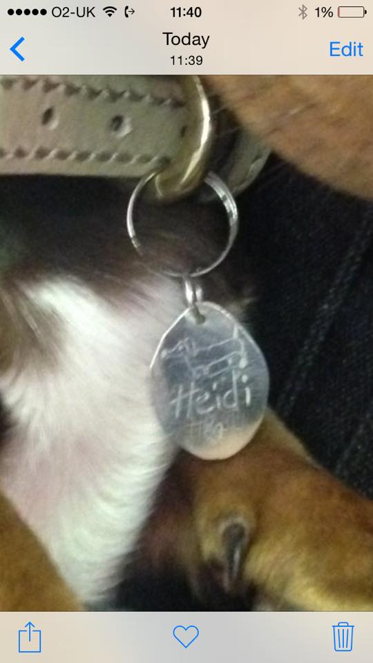 #Cutest customer in #belfast calling into collect her <a href="/ghostandbone/">Ghost And Bonesetter</a> charm! #diva #jewellery #dachshund #Sausagedog