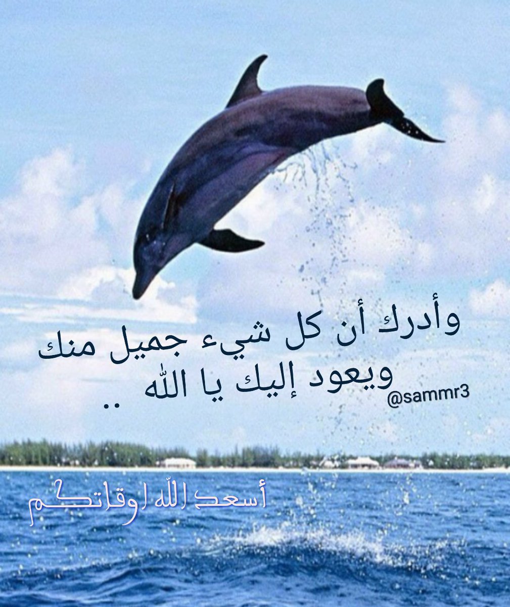 🌷🍃
.
وأدرك أن كل شيء جميل منك
 
ويعود إليك يا الله  !
.
🍃 🌷