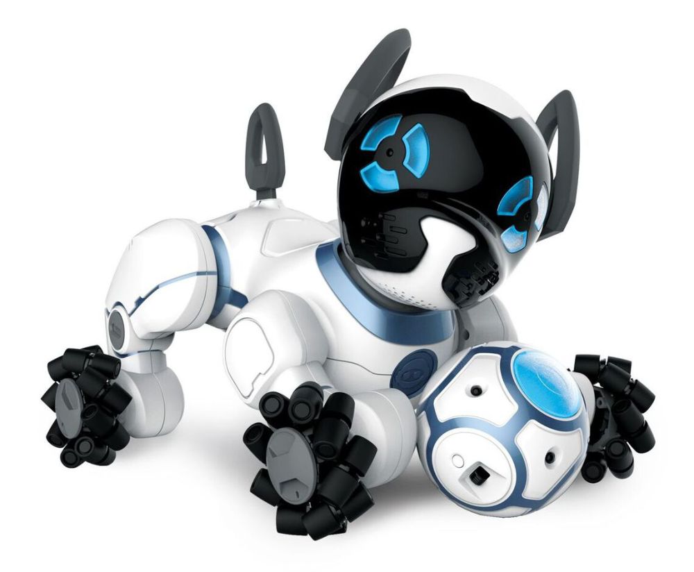 poochpal's tweet photo. Annual toy fair has fun with technology and robot dog! https://t.co/S1xpDIv8Vk https://t.co/Qrhe7EwhoE