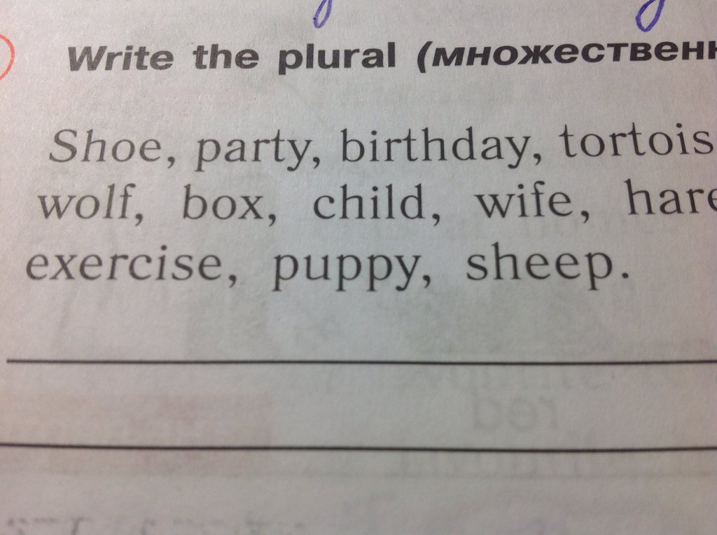 Write the plural of the nouns. Write the plural of the following. Write the correct plural form. Write in the plural. Write the plural form of the following nouns.