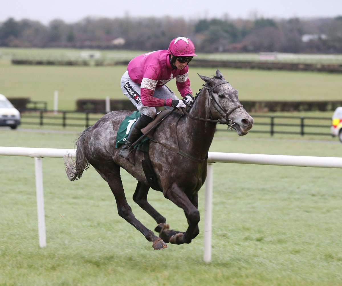 NaasRacecourse's tweet photo. Avenir D'Une Vie battled to victory in the Paddy Power Bumper the last race of the day yesterday @WillieMullinsNH https://t.co/HTDIOj8cpj