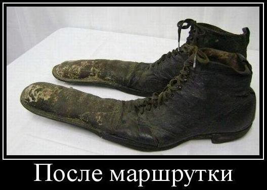 СЕРЁГА (@serg__85) on Twitter photo 