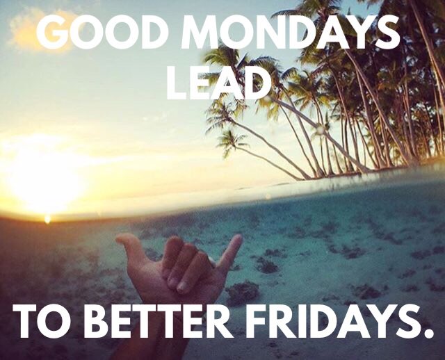 BlueLeafTea's tweet photo. True. Start your week right!
#hydration #mondaymotivation #fit #blueleaftea https://t.co/YSvb5irorU