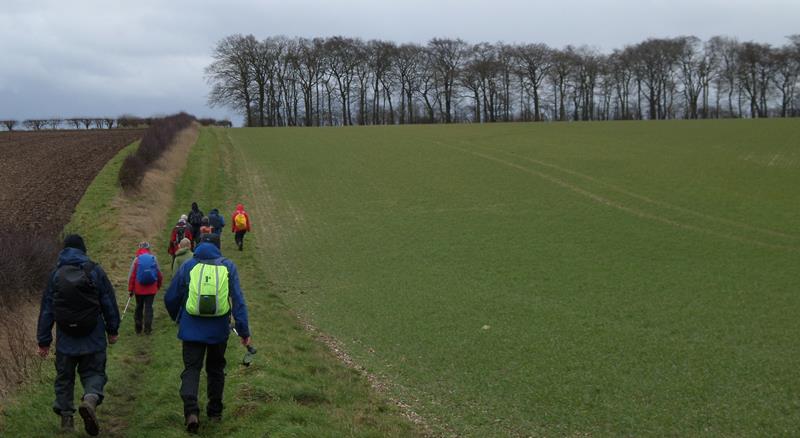 ScarbRamblers's tweet photo. #DavidHockney inspired super walk on #YorkshireWolds for Scarborough Ramblers @RamblersGB https://t.co/wYFdp7ymK7 https://t.co/hRmmAaIzkG