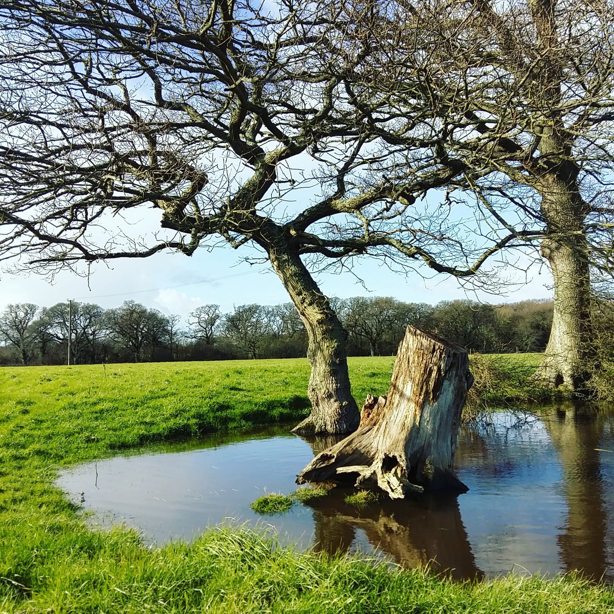 Detailing beauty #isleofwight #iow #iowshots #wightvisitor #tourism #placestogo #shalfleet